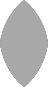 Face-up size outline for 1ct Ruby (9.88&times;4.94mm, marquise cut)